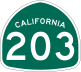 SR-203 shield